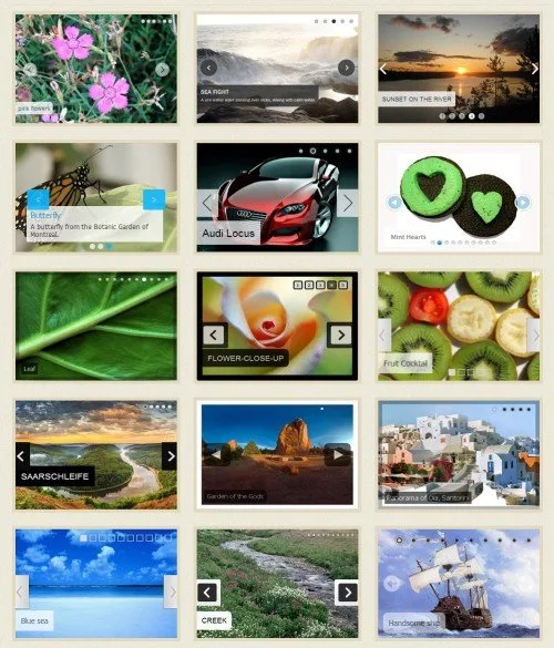 screenshot-1 (1)