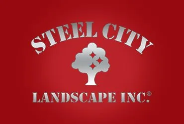 Steel City Landscape